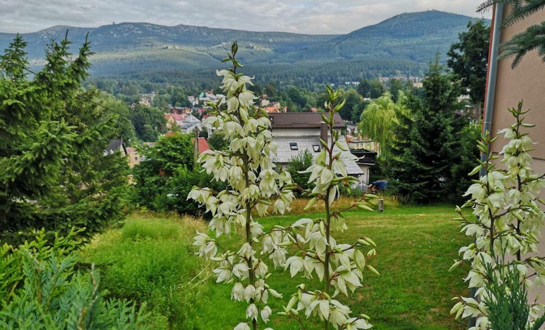 Willa Mona Bed and Breakfast Szklarska Poręba Exterior foto